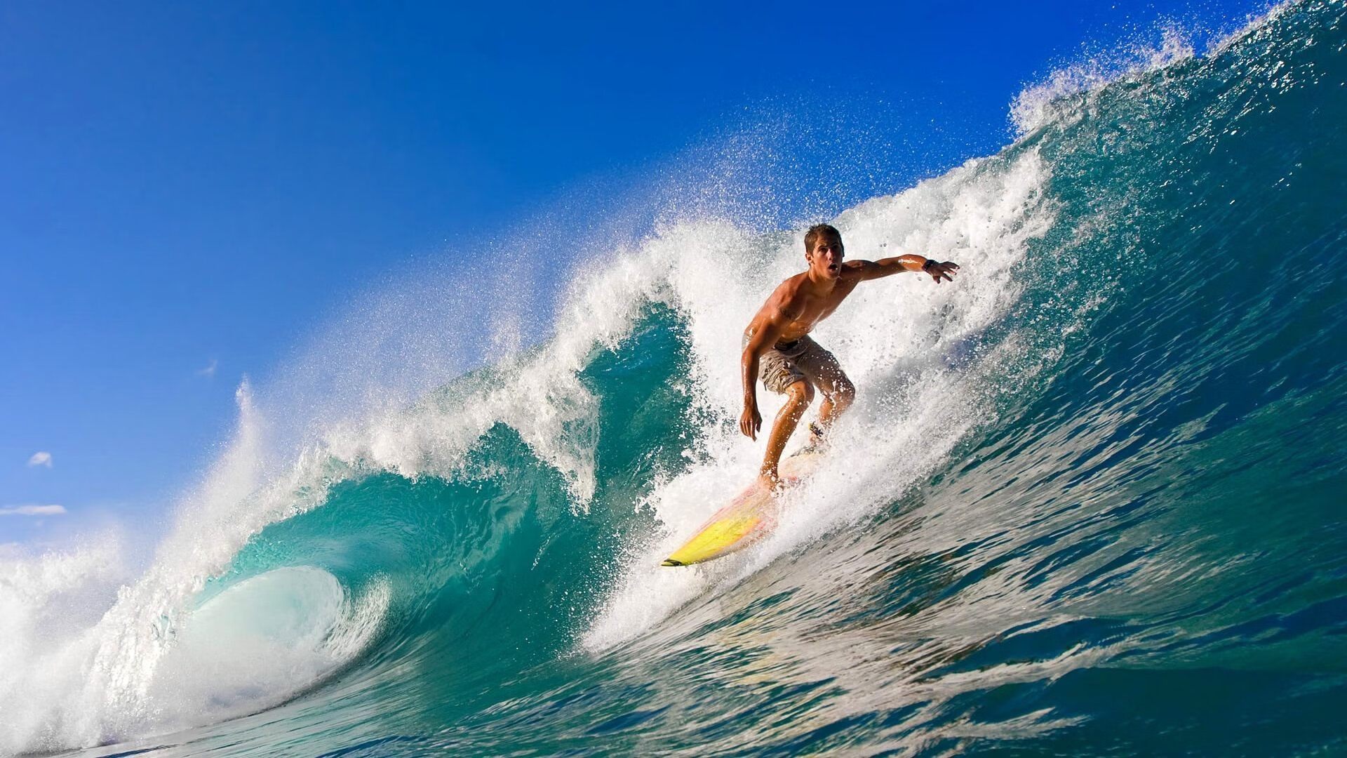 Kaiyun(中国)开云-“舞动梦想！金牛区城北体育馆上演世界级运动舞蹈大秀”